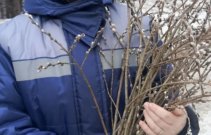 Веточка вербы как символ заботы и тепла