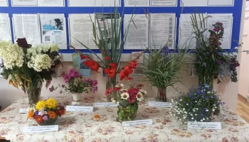 Выставка цветов «Цветущий МИР» Выставка цветов «Цветущий МИР»