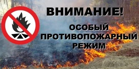 Весенне-летний пожароопасный период Весенне-летний пожароопасный период