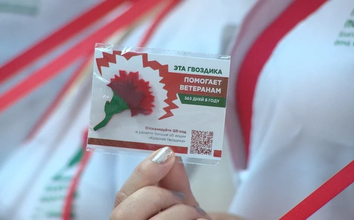 Патриотическая акция «Красная гвоздика»: мы помним, мы чтим, мы гордимся. Патриотическая акция «Красная гвоздика»: мы помним, мы чтим, мы гордимся.