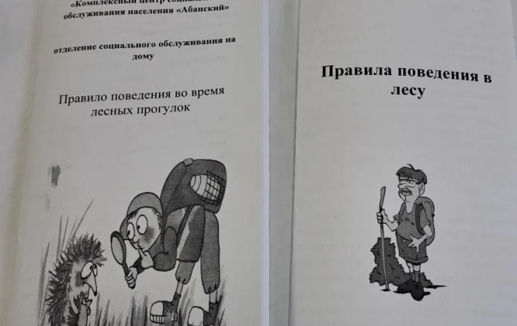 Правила поведения в лесу. Правила поведения в лесу.