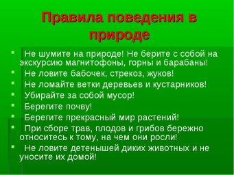 Правила поведения на природе