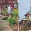 Фотовыставка &laquo;Настроение летнего дня&raquo; 5